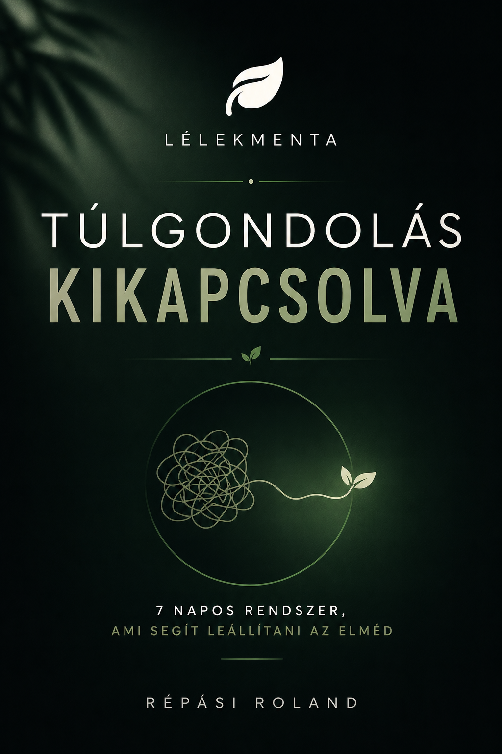 Túlgondolás kikapcsolva E-book